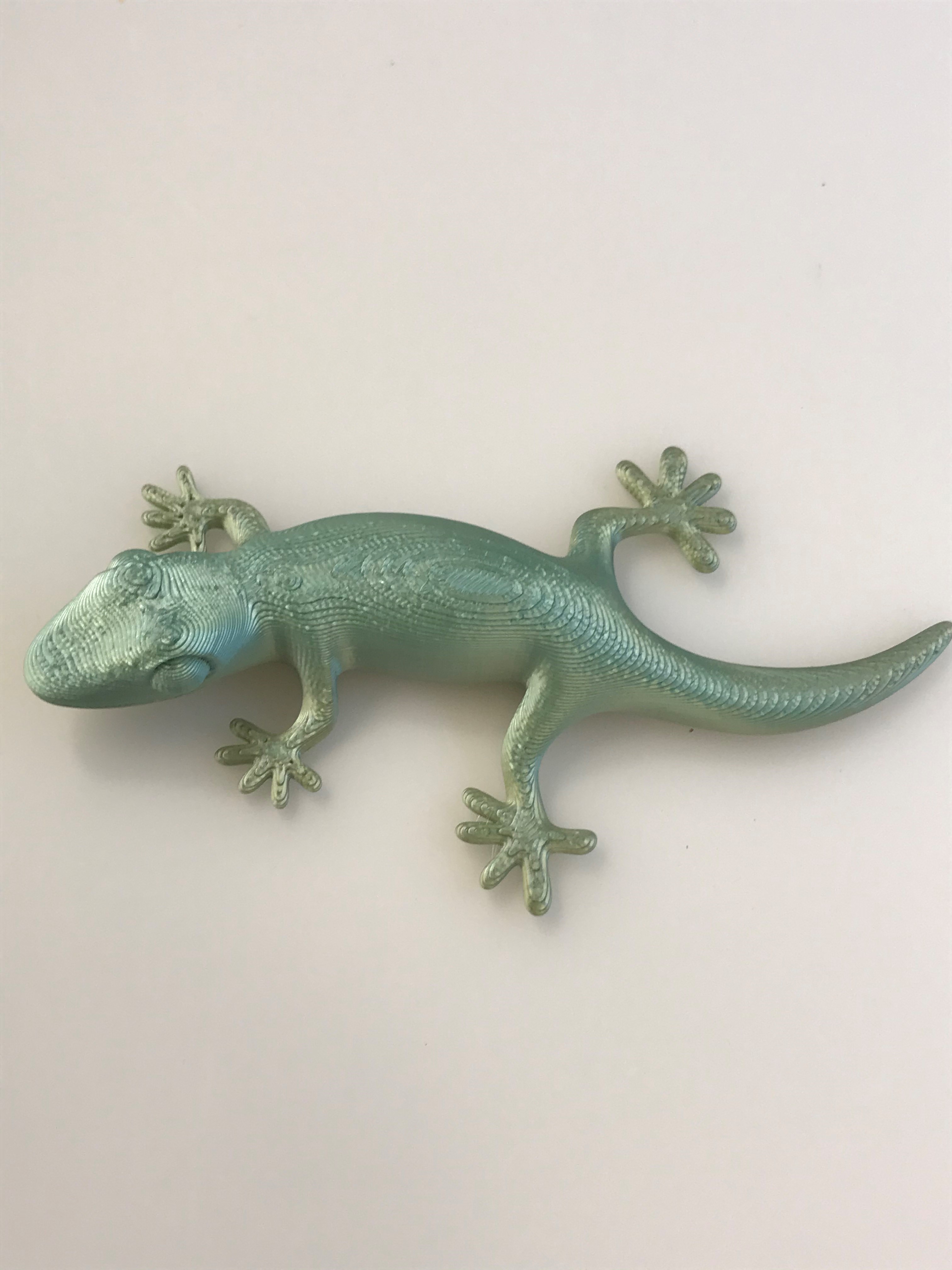 3D printed Gecko