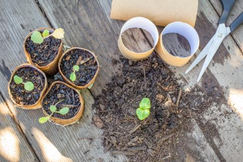 seedling pots