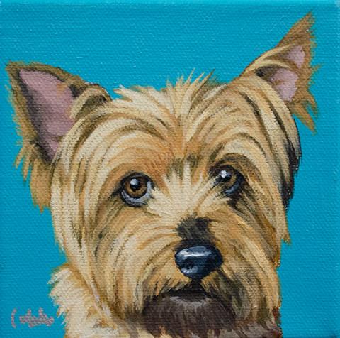 Yorkie painting by Ashley Corbello