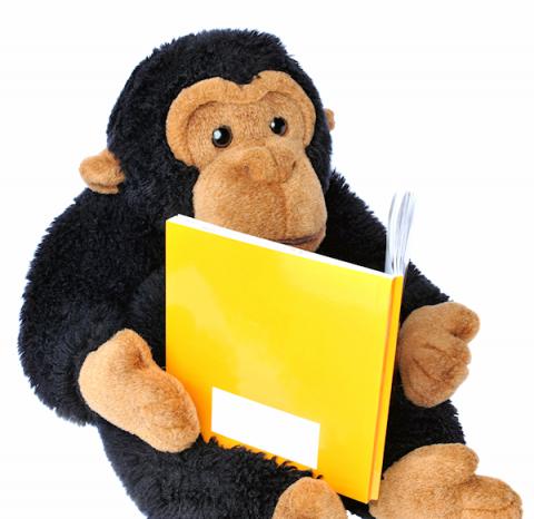 monkey reading book