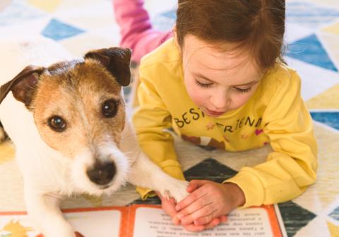 READ to Dog