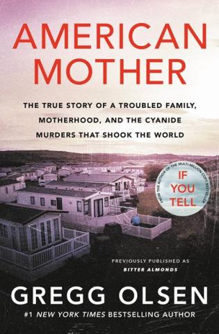 american mother book cover