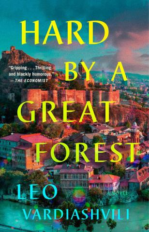 Book cover depicts a sprawling city set against a hill and seen from above, revealing hundred of buildings. The artwork is brightly saturated, like an old postcard.