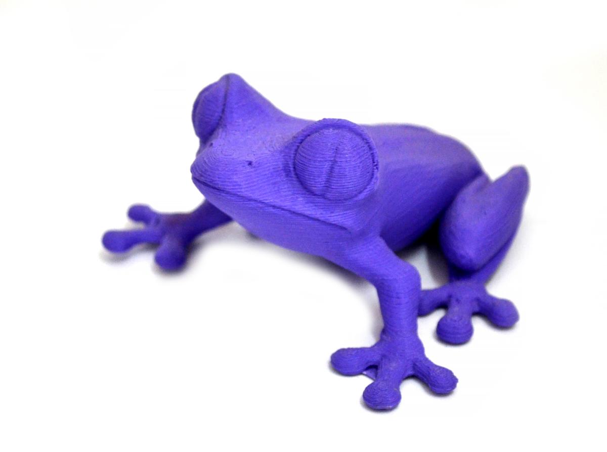 3D printer Frog