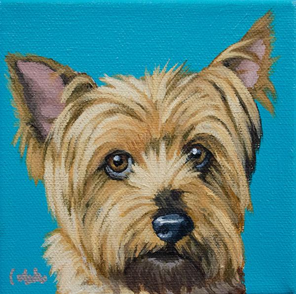 Yorkie painting by Ashley Corbello