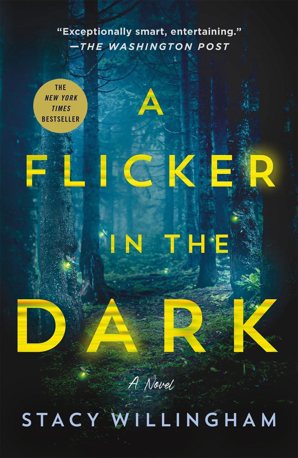 A Flicker in the Dark cover